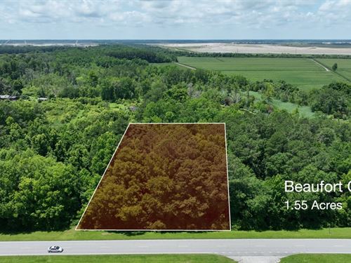 Flexible 1.55 Acre Building Lot : Aurora : Beaufort County : North Carolina