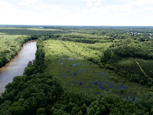 101 Acres on Roanoke River : Jamesville : Martin County : North Carolina
