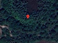 1 Acre Vacant Investment Land Near : Polk City : Polk County : Florida