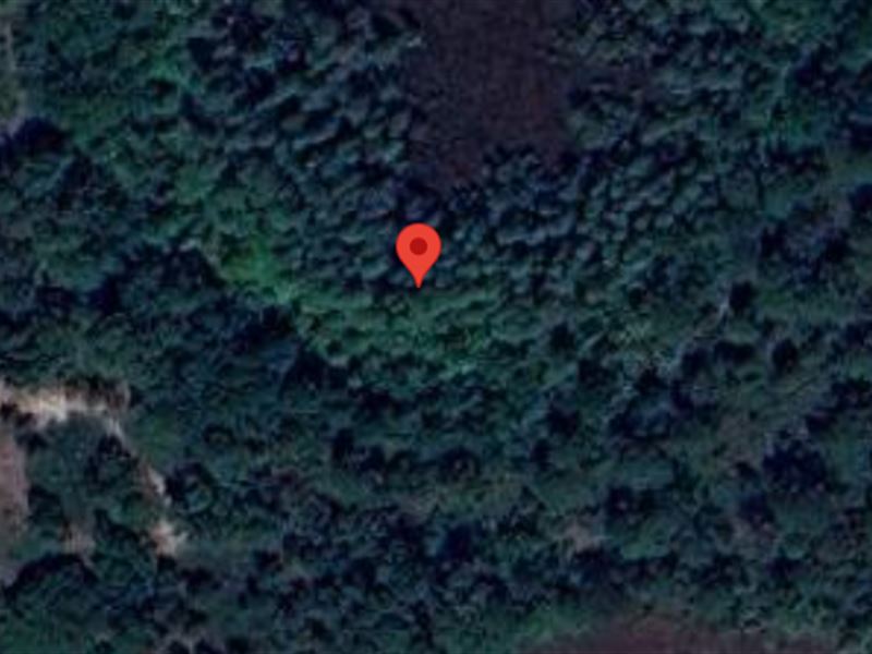 1 Acre Vacant Investment Land Near : Polk City : Polk County : Florida