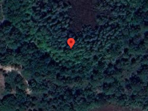 1 Acre Vacant Investment Land Near : Polk City : Polk County : Florida