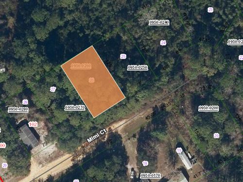 Buildable Lot, Interlachen Lakes : Interlachen : Putnam County : Florida