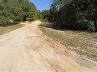 Buildable Lot, Interlachen Lakes : Interlachen : Putnam County : Florida