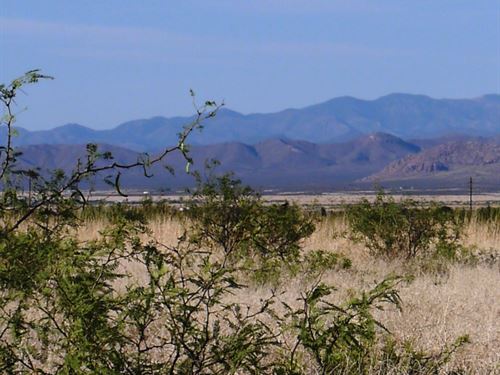 .22 Acres in Cochise County, AZ : Douglas : Cochise County : Arizona