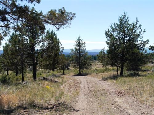 1.58 Acres in Klamath County, OR : Bonanza : Klamath County : Oregon