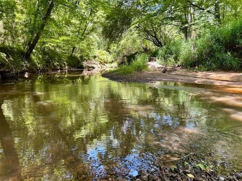 325 Acres-Rollinson Rd : Liberty : Amite County : Mississippi
