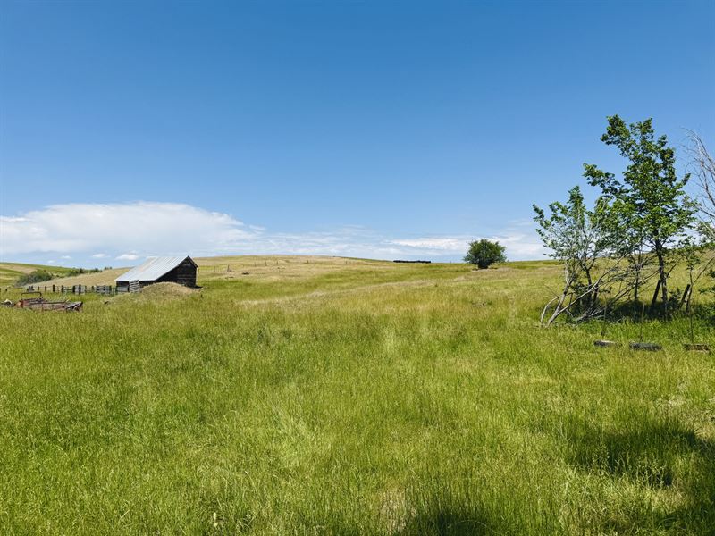 Wasem Road Parcel 4 : Cottonwood : Idaho County : Idaho