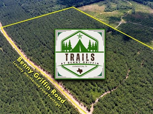 10.5 Acres, T-1, Trails at Benny : Dallardsville : Polk County : Texas
