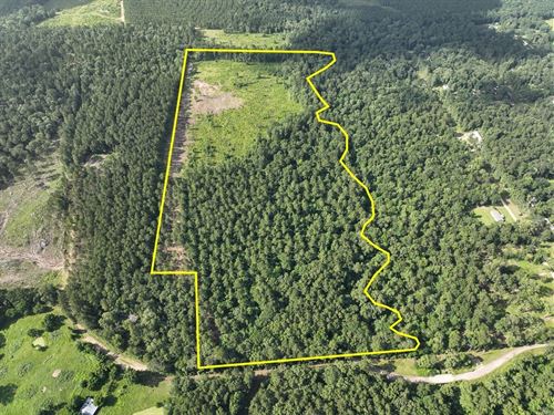 58 Acres, Skinner Creek, Dick Ski : Corrigan : Polk County : Texas