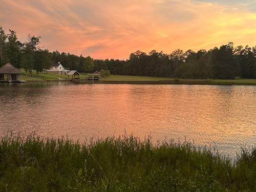 Beautiful View at Big Bay Lake : Lumberton : Lamar County : Mississippi