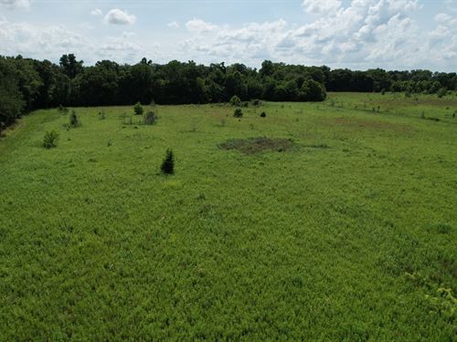 35 Acre Tract With I-85 Road Fron : Shorter : Macon County : Alabama