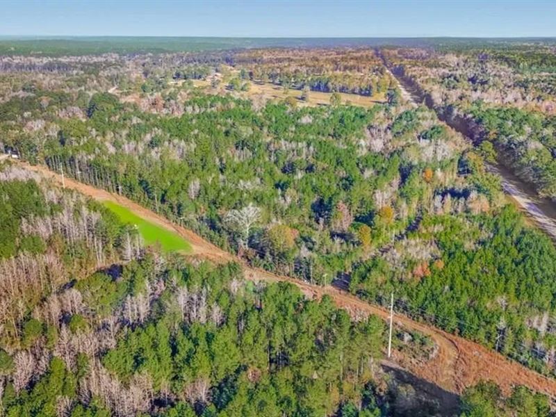 Gloster 110, Hunting Land in Amite : Gloster : Amite County : Mississippi