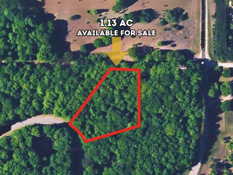 1.13 Acres Near Lake Bellaire, MI : Bellaire : Antrim County : Michigan