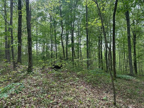 1.46 /- Acres : Albany : Clinton County : Kentucky