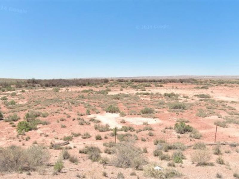 1.26 Acres for Just $100 : Winslow-Holbrook : Navajo County : Arizona