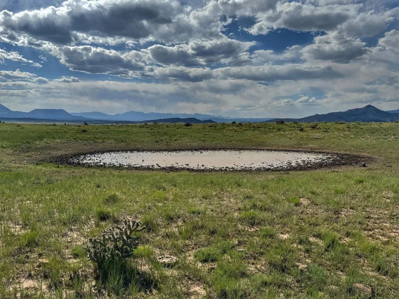 19 Majors Ranch, Walsenburg, Co 810 : 19 Majors Ranch Walsenburg : Huerfano County : Colorado