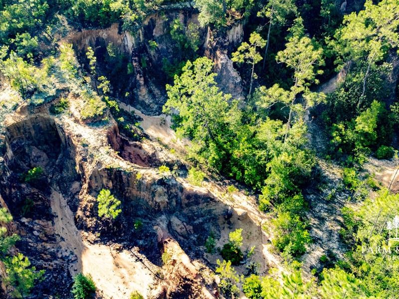 Little Canyon Creek, 93 Acres Recr : Chattahoochee : Gadsden County : Florida