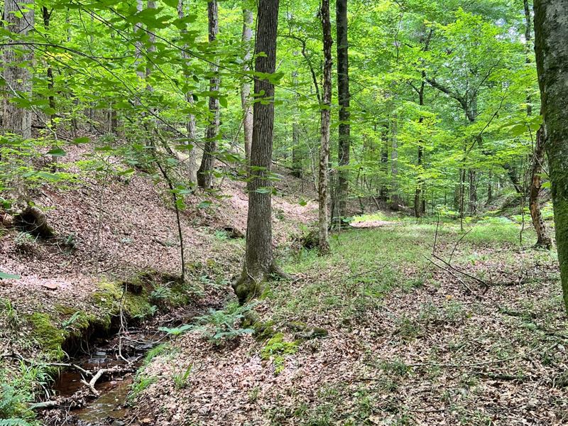 62-021 Overlook Ridge : Walnut Hill : Tallapoosa County : Alabama
