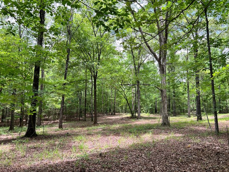 62-021 Overlook Ridge : Walnut Hill : Tallapoosa County : Alabama