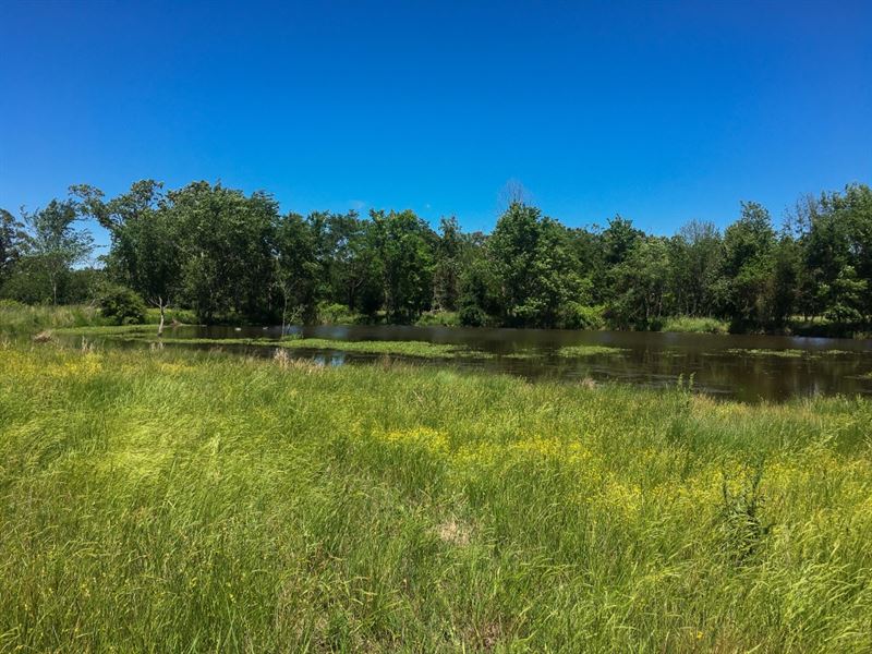 Whitewater Prairie 20 : Jay : Delaware County : Oklahoma