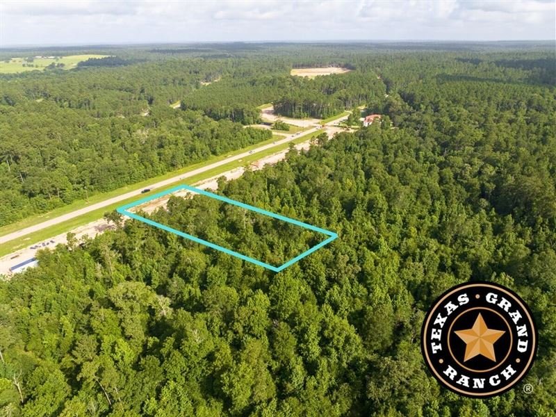 1.5 Acres, Dipping Vat Road : Huntsville : Walker County : Texas