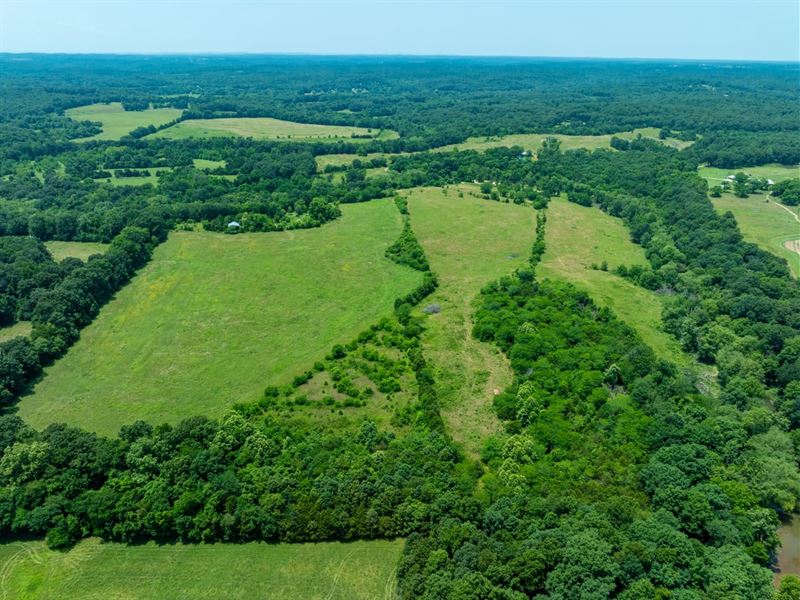 80 Acres, Pasture, Hay Fields : Evening Shade : Sharp County : Arkansas