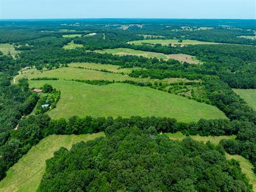 80 Acres, Pasture, Hay Fields : Evening Shade : Sharp County : Arkansas