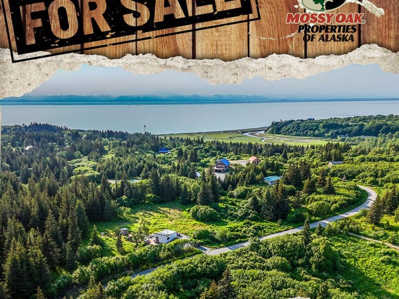17597 Arcturus Loop, Ninilchik : Ninilchik : Kenai Peninsula Borough : Alaska