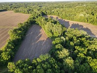 Sugar Creek 40 : West Terre Haute : Vigo County : Indiana