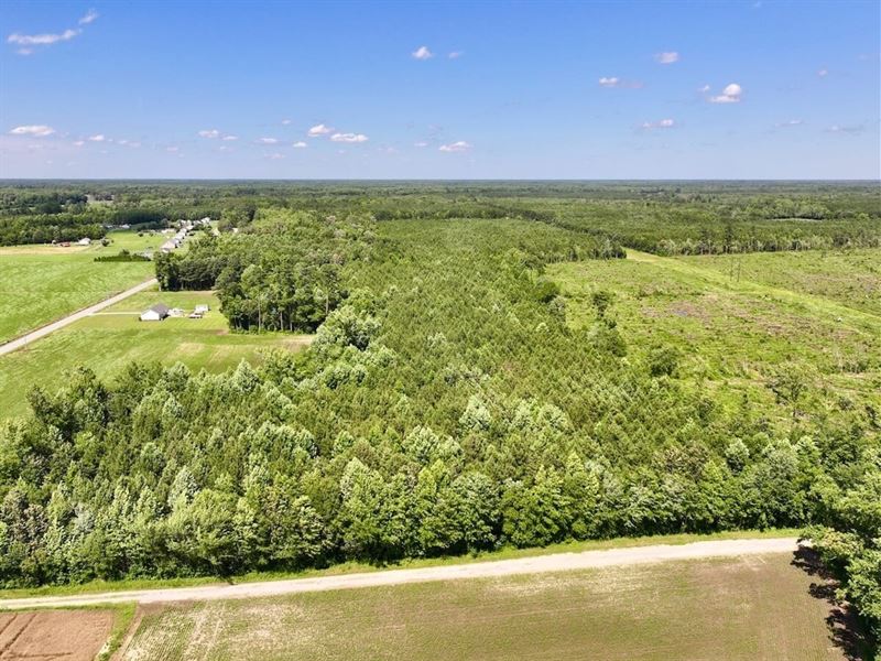 81 Acre Hunting : Gates : Gates County : North Carolina