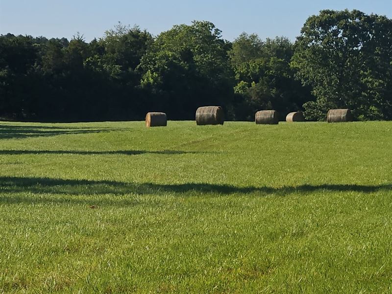 30.61 Survey Acres, Pasture/Hay Gro : Hartshorn : Texas County : Missouri