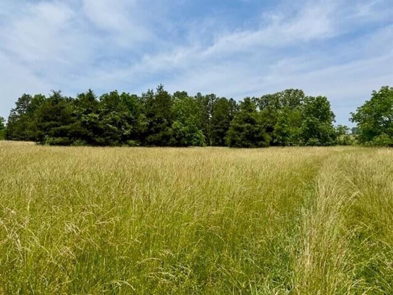 30.61 Survey Acres, Pasture/Hay Gro : Hartshorn : Texas County : Missouri