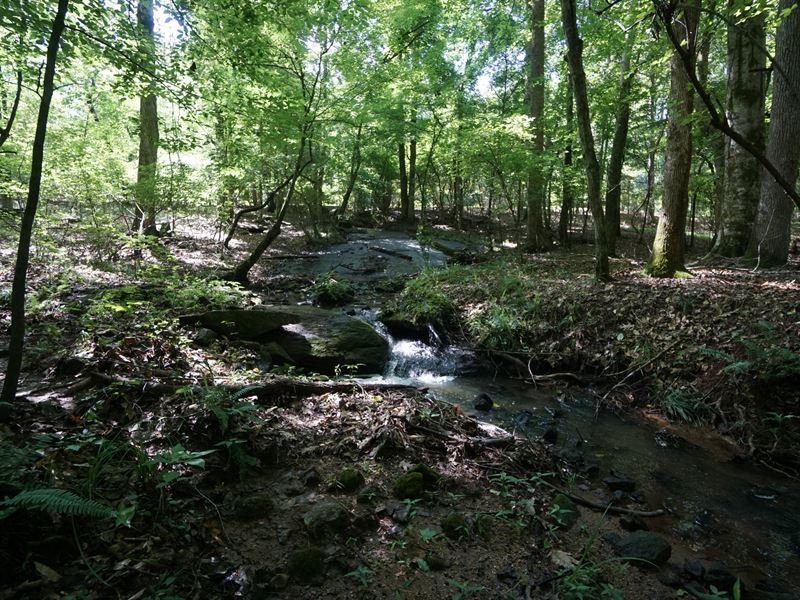 Residential Lot in North Coweta : Palmetto : Coweta County : Georgia