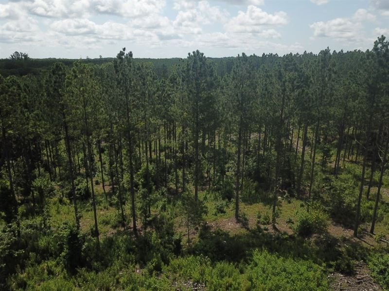 30 Ac Hwy 9 : Alexander City : Coosa County : Alabama