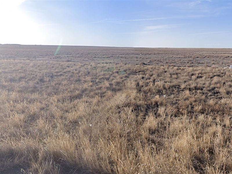 2 Acre Lot for Sale in Torrance NM : Wagon Wheel : Torrance County : New Mexico