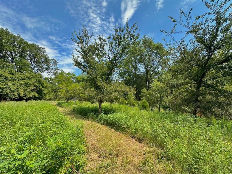11 Acres of Trees and Nature : Lexington : Cleveland County : Oklahoma