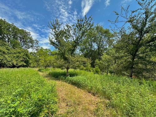11 Acres of Trees and Nature : Lexington : Cleveland County : Oklahoma