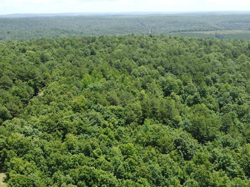 Ideal for a Getaway Cabin or Foreve : Leslie : Searcy County : Arkansas