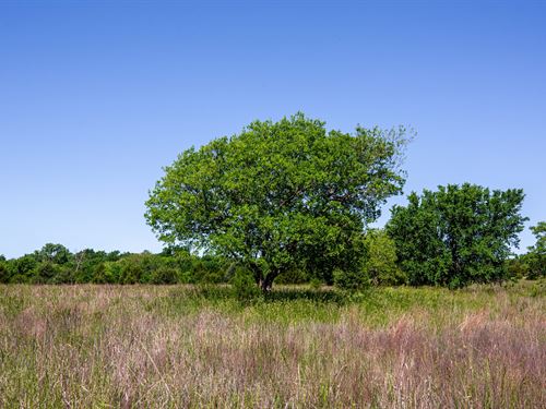 Prairie Grove Tract 24 : Okemah : Okmulgee County : Oklahoma