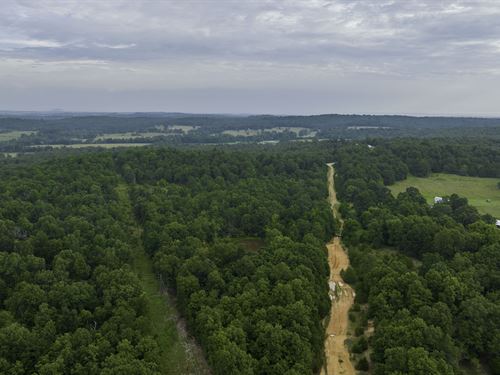 Off-Grid Feel, On-Grid Conveniences : Horseshoe Bend : Izard County : Arkansas