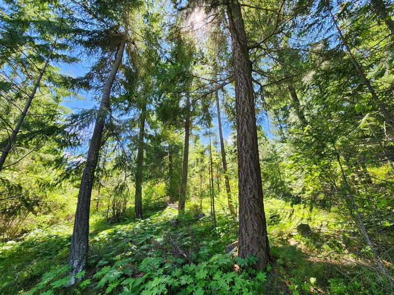 Cle Elum 129 Acres : Cle Elum : Kittitas County : Washington