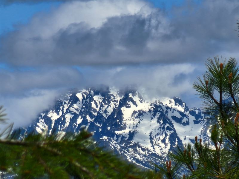 Cle Elum 129 Acres : Cle Elum : Kittitas County : Washington