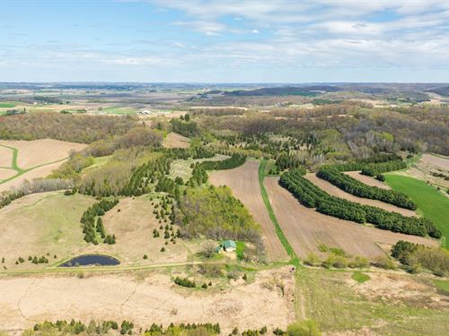 120 Acres, Cabin Buffalo County, W : Mondovi : Buffalo County : Wisconsin