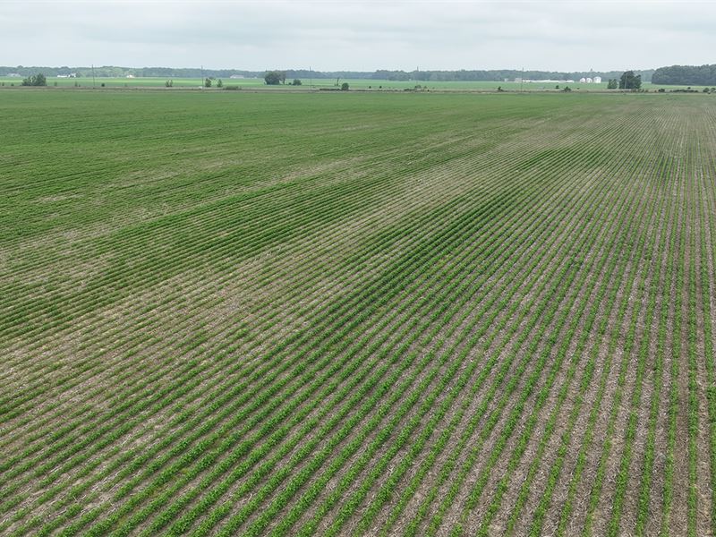 Auction 70+/- Ac, Tippecanoe County : Lafayette : Tippecanoe County : Indiana
