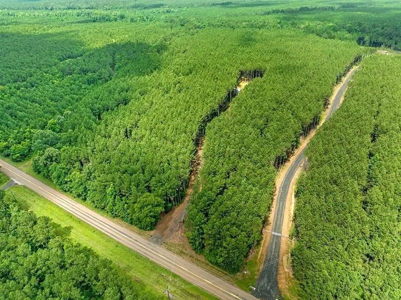 Rayburn Ranch San Augustine TX Lot : San Augustine : San Augustine County : Texas