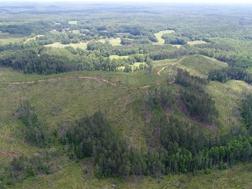 263 Acres Goodwater, AL : Goodwater : Clay County : Alabama