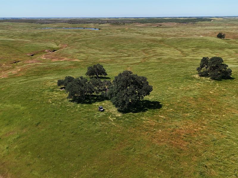 Legacy Armstrong Ranch : La Grange : Stanislaus County : California