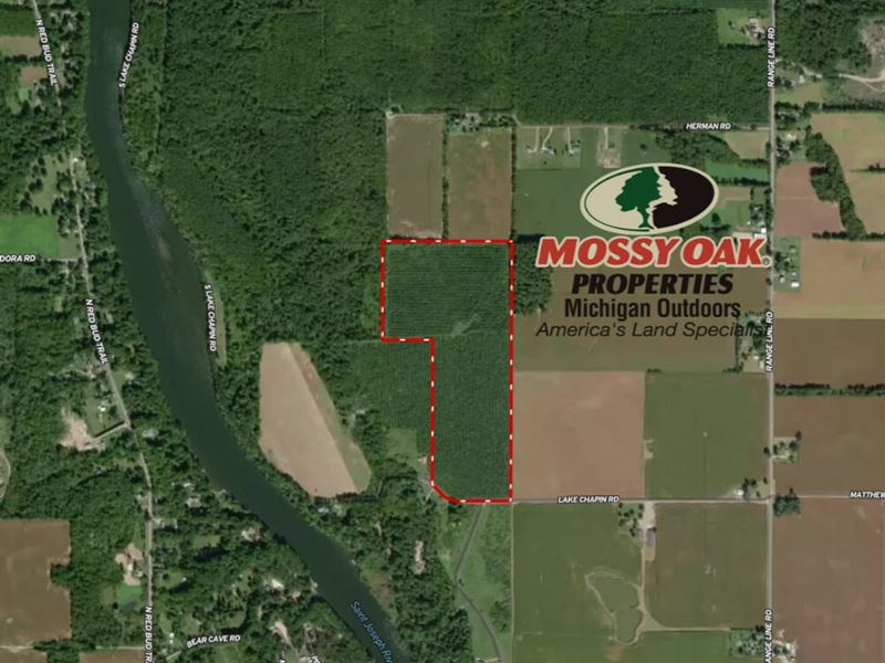 61.55 Acres E. Chapin Lake Rd : Berrien Springs : Berrien County : Michigan