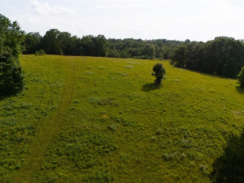 Incredibly Scenic 35 AC in Bolli : Marquand : Bollinger County : Missouri
