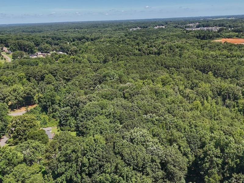 .46 Acre Residential Lot for Sale : Raleigh : Wake County : North Carolina